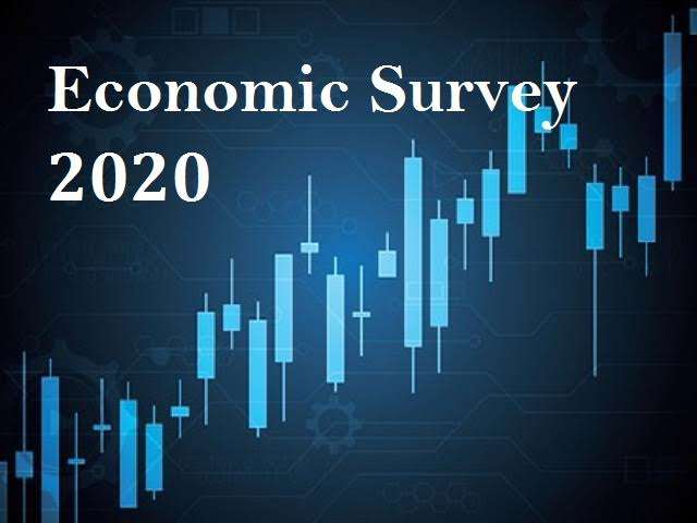Budget Economic Survey 2019-2020
